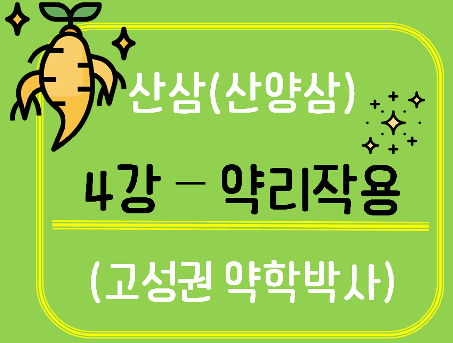 [생약알아보기] 산삼(산양삼)_4강 약리작용 